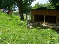 100_1722.webp