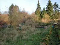 CIMG0333.webp