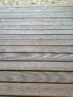 10022011599[1].webp