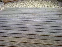 10022011597[1].webp