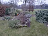 CIMG0007.webp