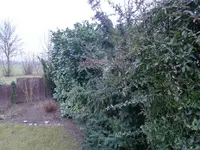 CIMG0004.webp