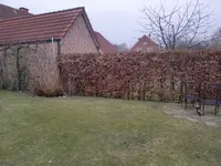 CIMG0009.webp