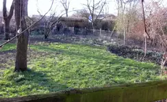 Garten (3).webp Garten (3).webp