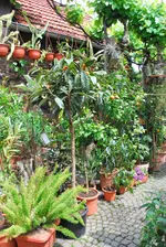 DSC_0473.webp