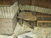 CIMG3725.webp