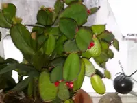 100220112264.webp