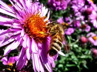P1010184_Kopie.webp