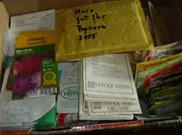 IMGP3515.webp