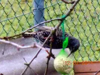 008.webp