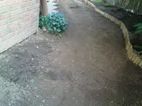 DSC00210.webp