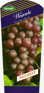 Scannen0020.webp