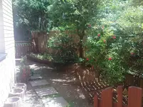 DSC00186.webp