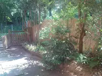 DSC00181.webp