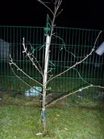 P1000433 800x600.webp