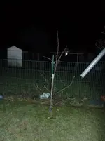 P1000434 800x600.webp