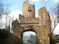 Bild 7178.webp