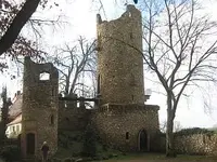 Bild 7175.webp