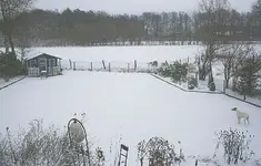 herber Wintereinbruch.webp