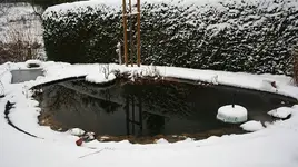 6 cm Neuschnee_kleiner.webp