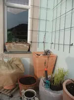 DSCF2412.webp