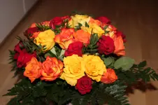 IMG_0476.webp