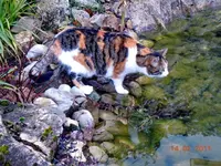 009Mieze.webp