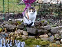 006Mieze.webp