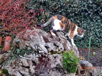 010Mieze.webp