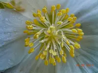 043Wassertropfen.webp
