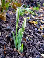 042Wassertropfen.webp