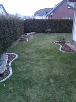 IMG00126-20110215-0736.webp