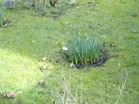IMGP3522.webp