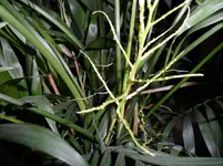 SAM_0226.webp