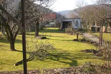 Garten Febr. 2011 079.webp