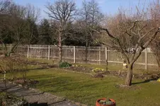 Garten Febr. 2011 080.webp