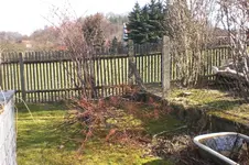 Garten Febr. 2011 085.webp