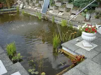 Teich 8-2010-5.webp
