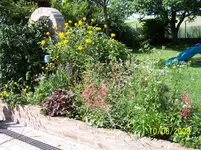 100_8189.webp