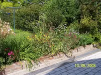 100_8191.webp