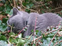DSCF4920.webp