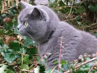 DSCF4921.webp