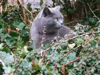 DSCF4923.webp