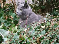 DSCF4924.webp