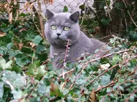 DSCF4925.webp