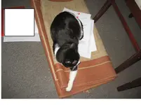 Lucy.webp