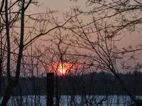 P1070071.webp