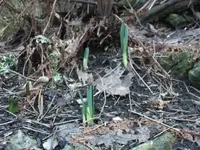 10.02.2011 007.webp