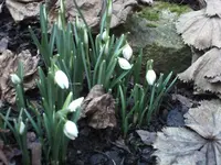 10.02.2011 020.webp