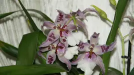DSC04749.webp